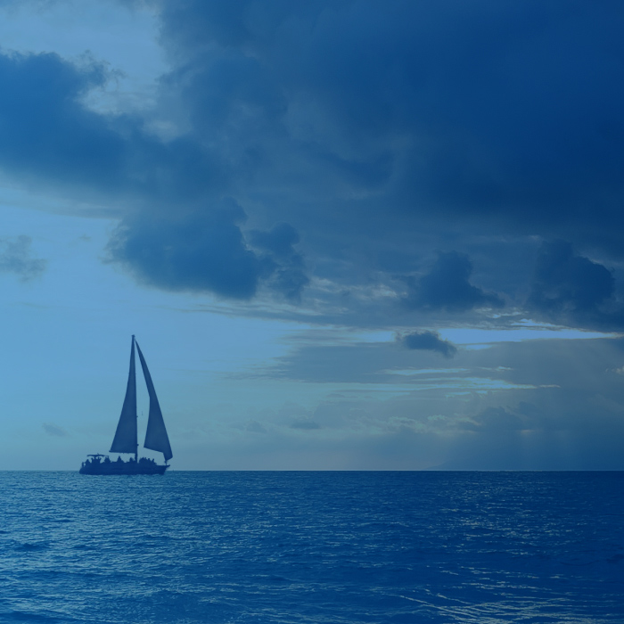 Anchor Your GTM Success with RevOps: An Approach for Driving Revenue Across Your Organisation